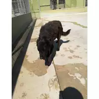 Comune di Grazzanise - 380260010222701